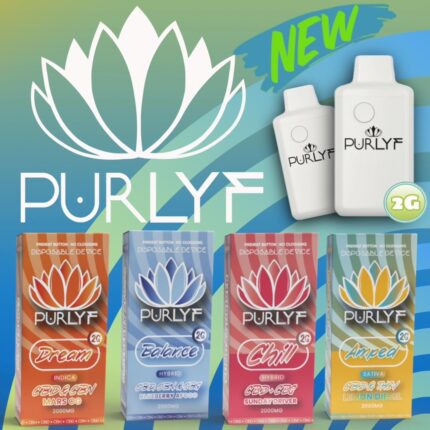 Purlyf - Full Spectrum - Blueberry Afgoo - BALANCE - 2G - CBD +CBN + CBG - Disposable